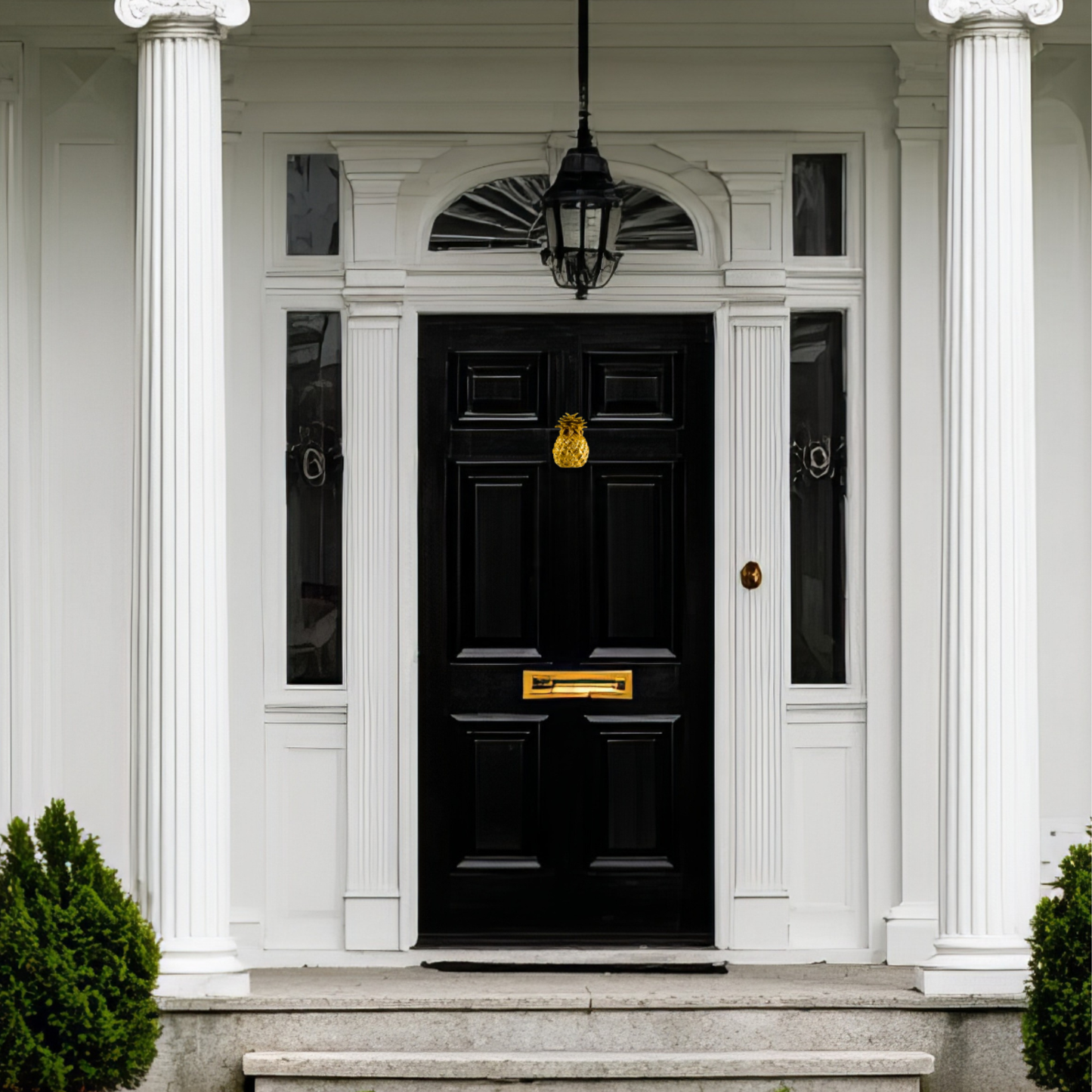 Pineapple Door Knocker