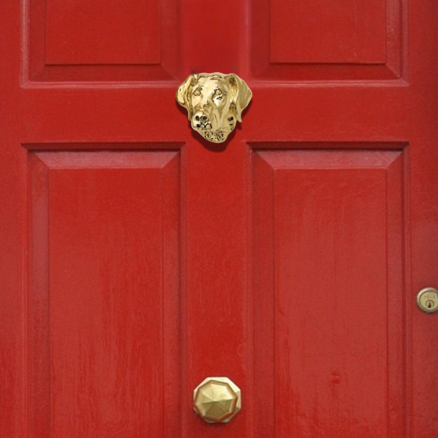 Lab Door Knocker