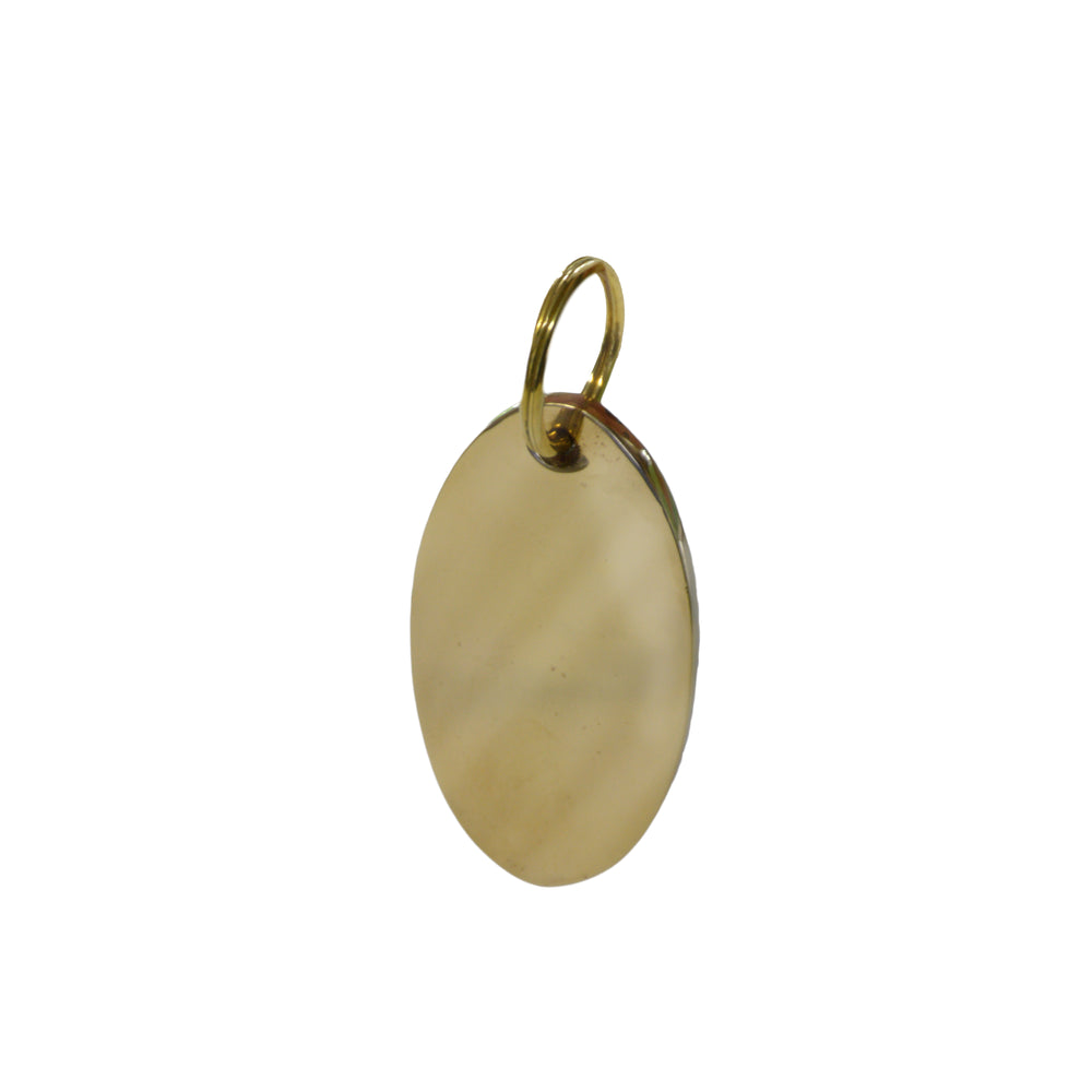 Brass Key Ring and Luggage Tag
