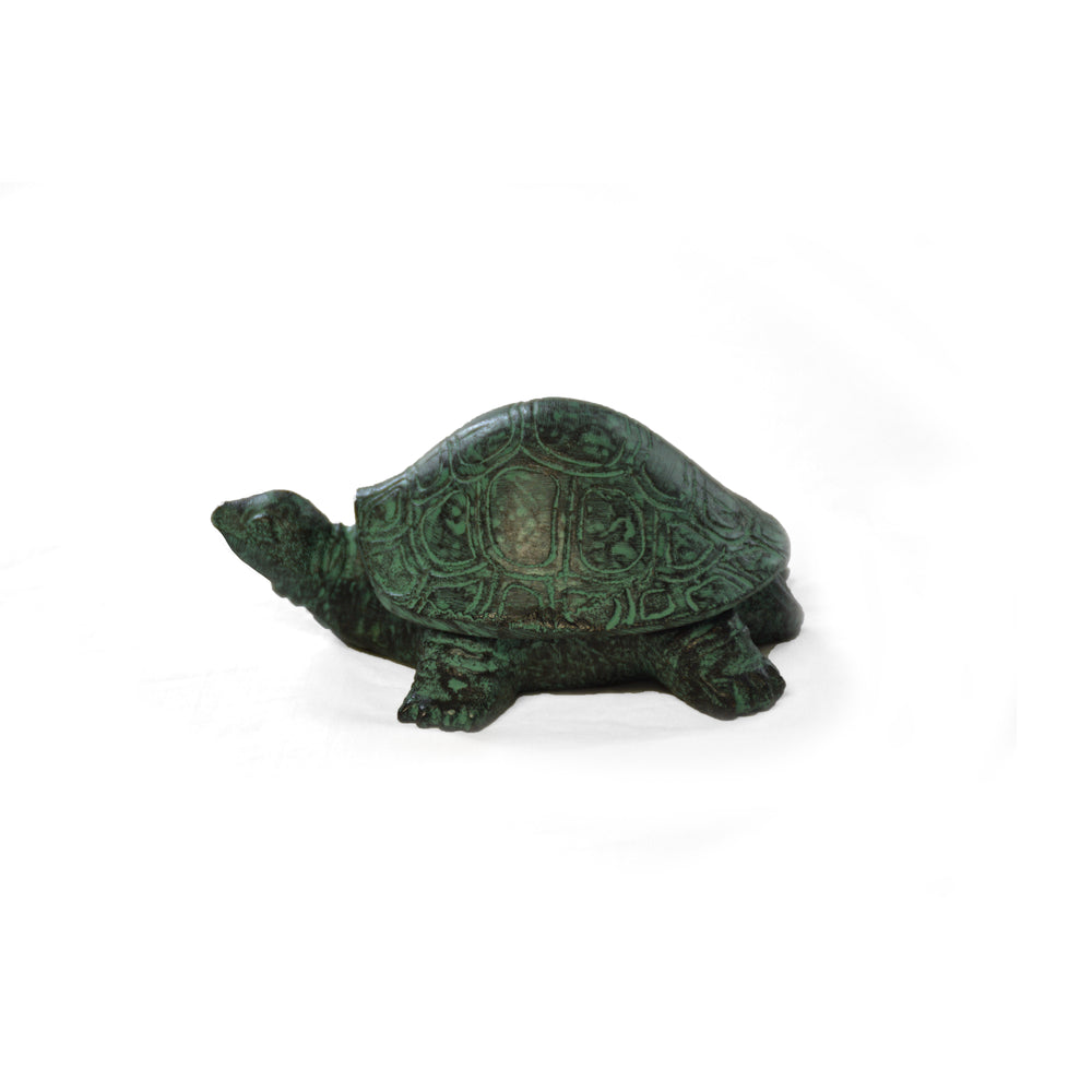 Brass Turtle with Verdigris Patina